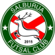  Escudo IBAIALDE SALBURUA
