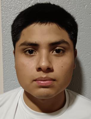 AMIR